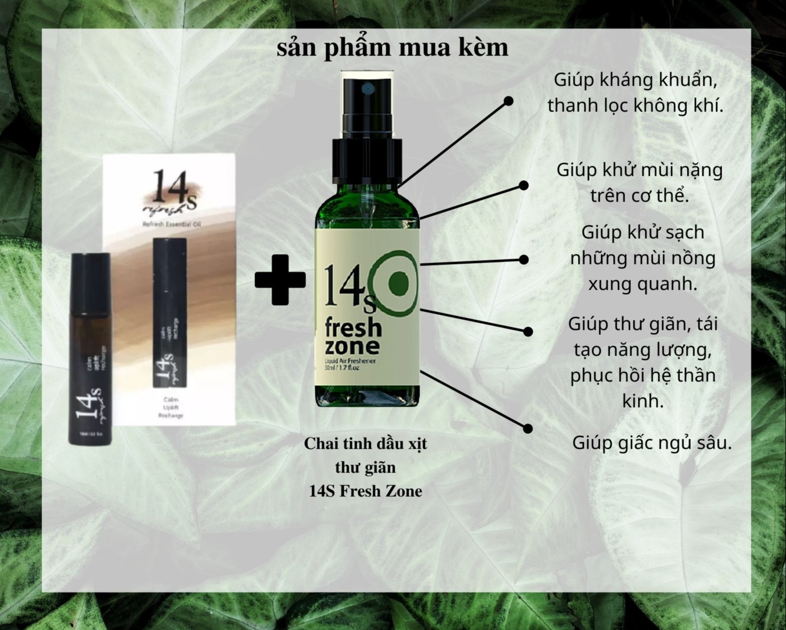 Tinh dầu lăn 2 trong 1 14S 14S5375 Refresh 10ml
