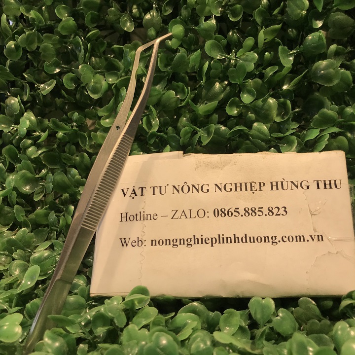 [ GIÁ SỈ ] Nhíp gắp sên và côn trùng dài 20cm