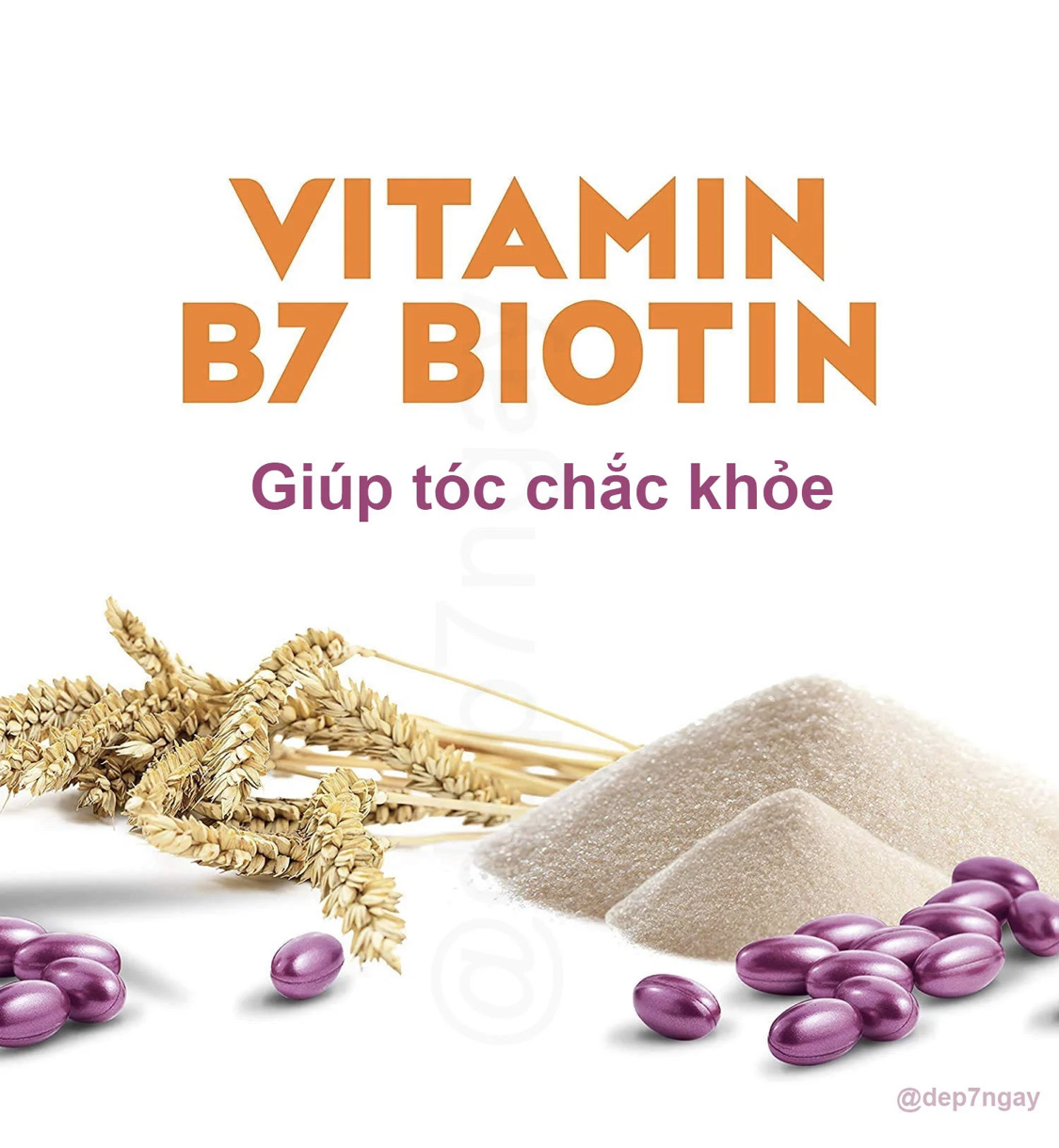 Dầu gội BIOTIN & COLLAGEN - Hàng xách tay Đức