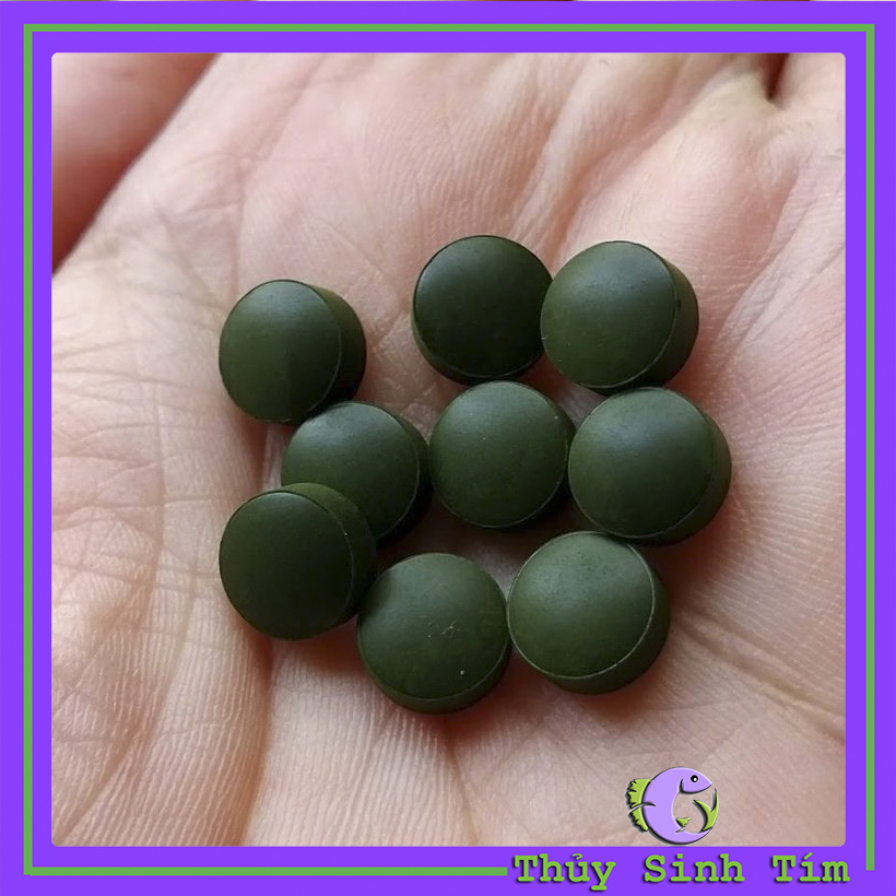 Viên Tảo Spirulina - Thức Ăn Cá Tép Cảnh