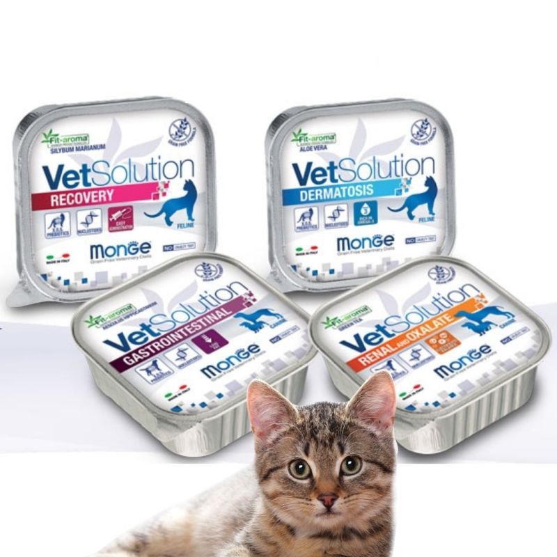 Pate hỗ trợ sức khỏe Monge cho chó mèo