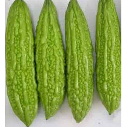 hạt giống Mướp đắng ( Khổ qua) lai F1