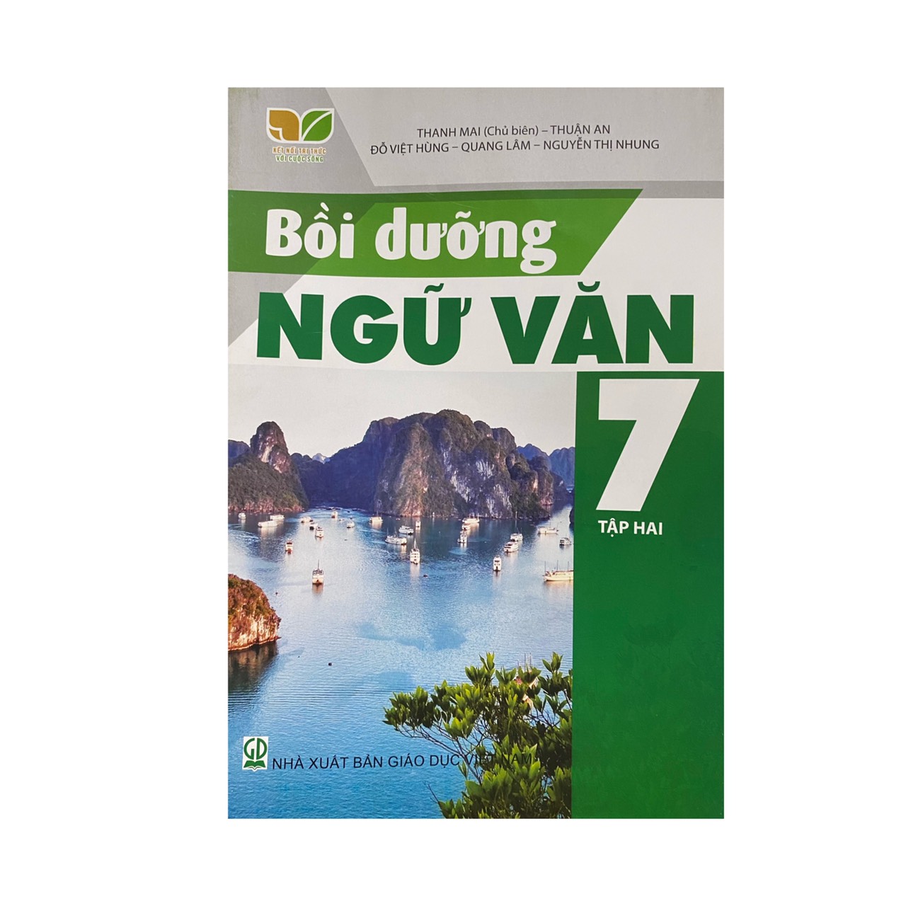 Sách - Bồi dưỡng ngữ văn 7 tập hai