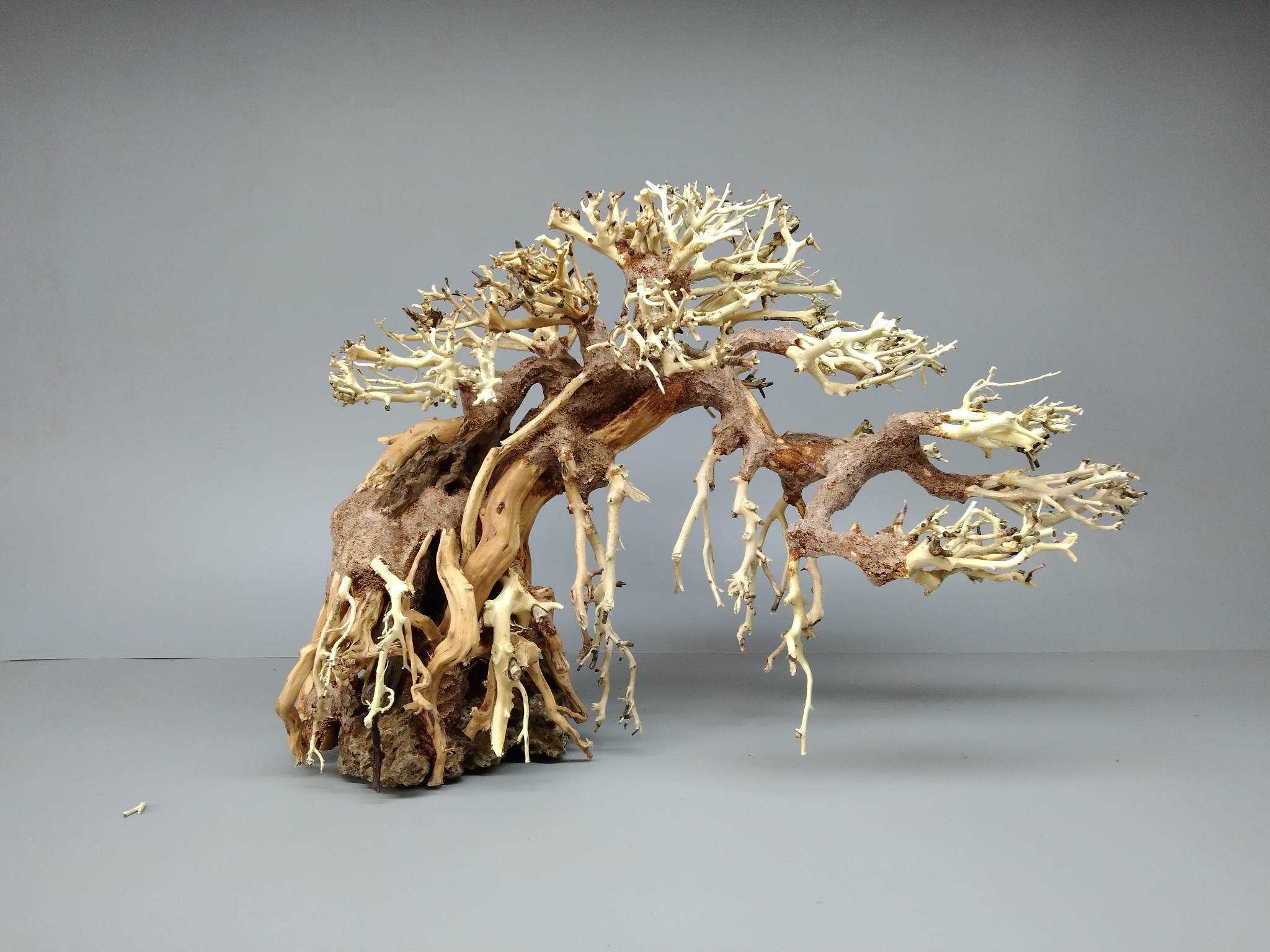 Cây gỗ lũa bonsai [Dùng cho hồ thủy sinh, hàng cao cấp ]