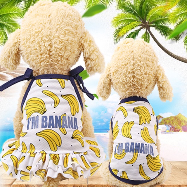 🍌🍌 T02 - ÁO TRÁI CHUỐI MÀU VÀNG 🍌🍌