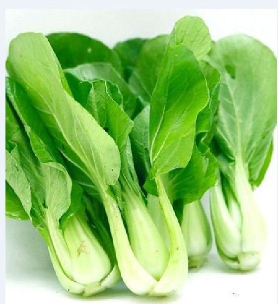 Hạt giống rau cải chíp xanh - 1 gói 20gr