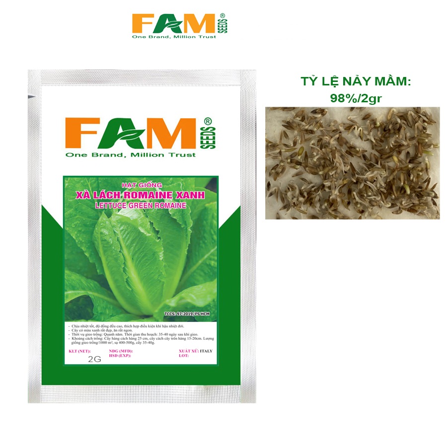 Hạt Giống Xà Lách Romaine Xanh FAM SEEDS - Gói 2gr, Xuất xứ Italy, Nảy mầm đều, Phát triển nhanh, Chịu nhiệt tốt, Lá xanh đậm, Giòn ngọt