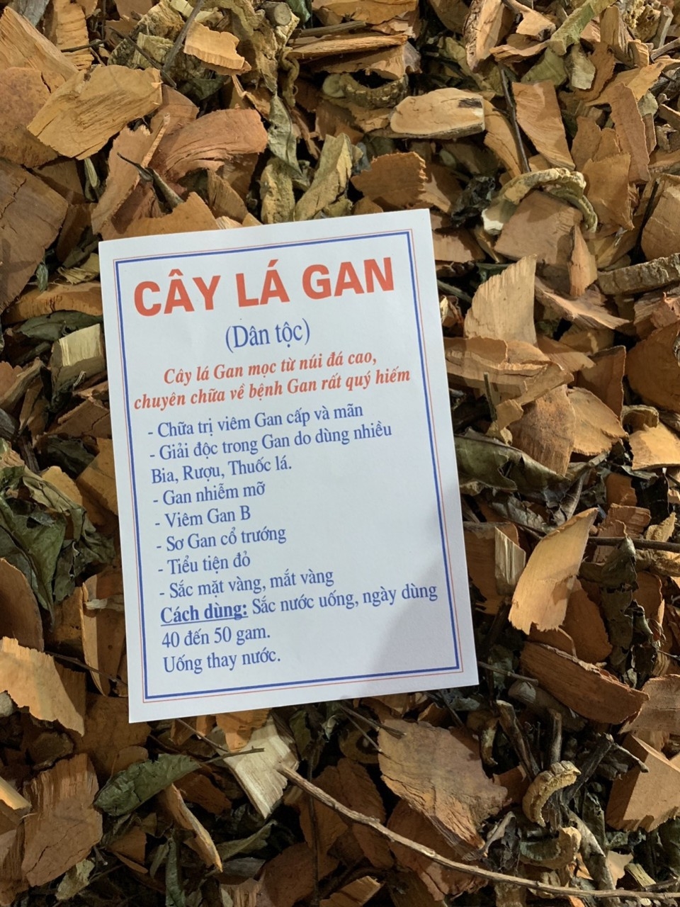 1kg Cây Lá Gan khô GT111