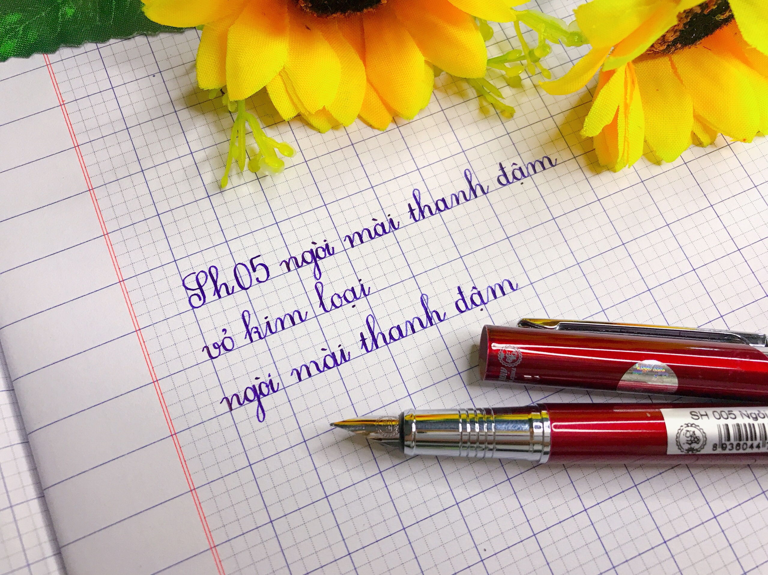 Bút máy Thầy Ánh SH005 ngòi mài thanh đậm
