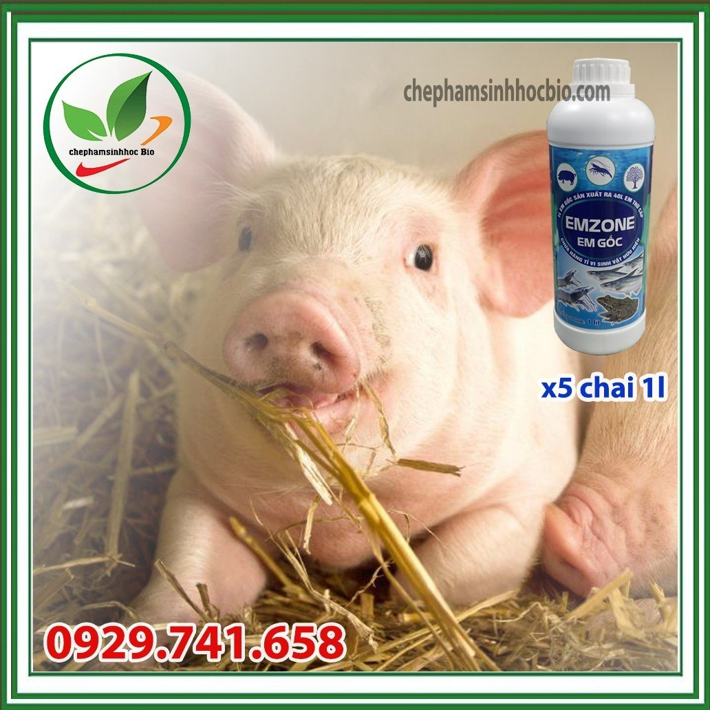 Chế phẩm sinh học EM gốc - Emzone. Can 5l