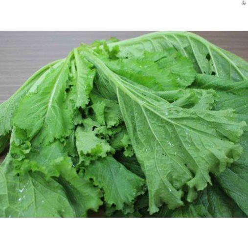 HẠT CẢI BẸ XANH MÀO GÀ - GÓI 20 GRAM