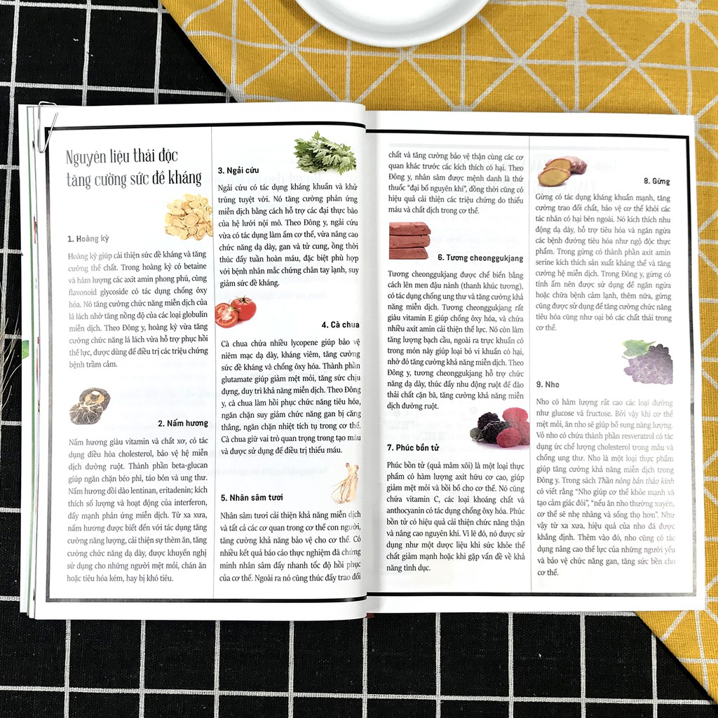 Sách - Thần Dược Xanh [Thái Hà Books]