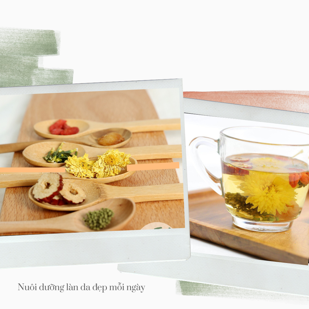 [5 Trial Packs] Calming Tea, Helps You Sleep Well, 6 Flavors (Chrysanthemum, Goji Berry, Red Apple, Lotus Heart, Panax Notoginseng Bud, Longan)