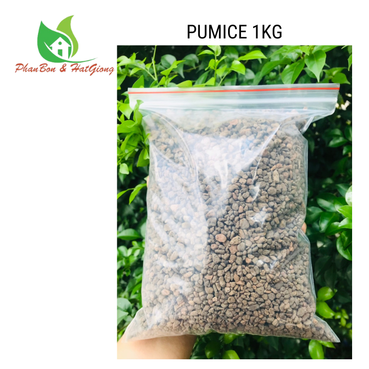 [1kg] Đá Pumice cao cấp - Đá Anh Vũ nhập khẩu Indonesia