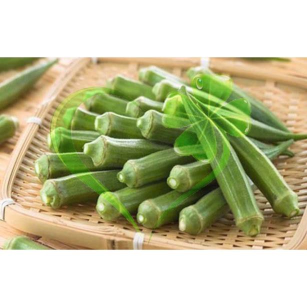 Hạt giống đậu bắp lai Ấn Độ - gói 18g