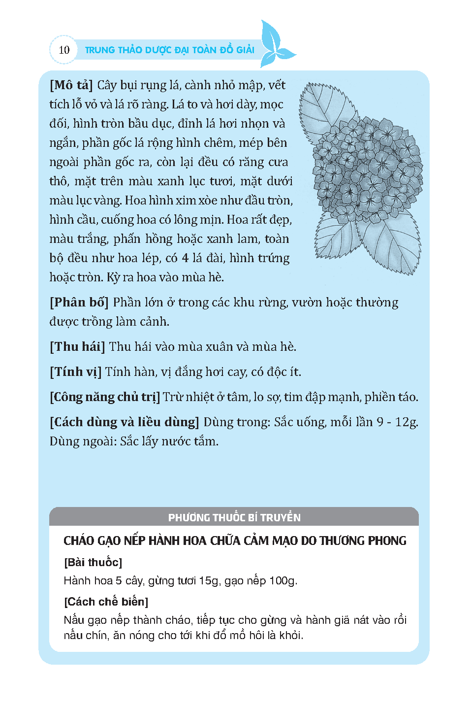 Trung thảo dược đại toàn (đồ giải)