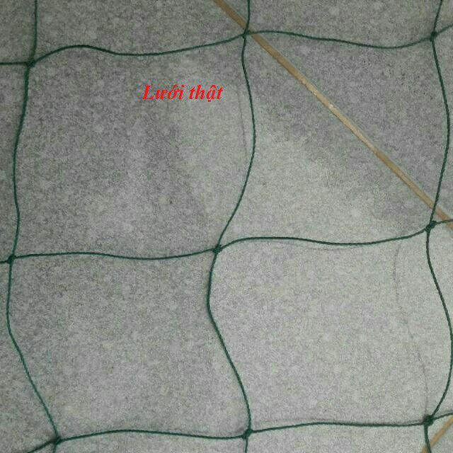 (1Mx3M) Lưới Trồng cây loại tốt (dây leo dàn) [ Có Sẵn ] [ Shop Tự chụp - Ảnh thật ]