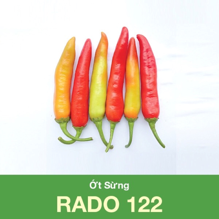 Giống ớt sừng trâu Rado 122