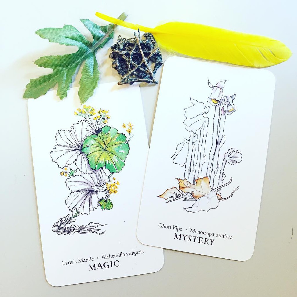 Bài Hedgewitch Botanical Oracle