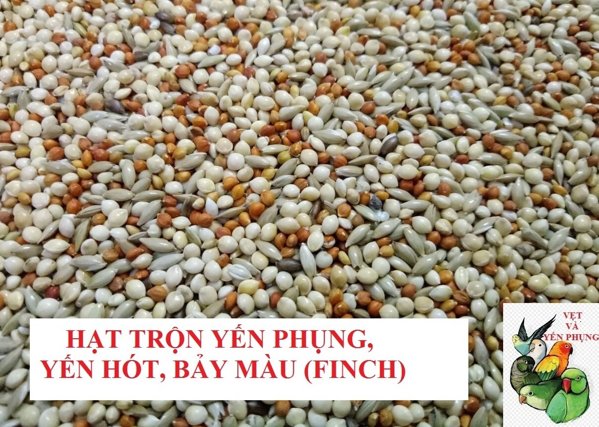 500Gram hạt trộn cho các dòng chim nhỏ và yến phụng