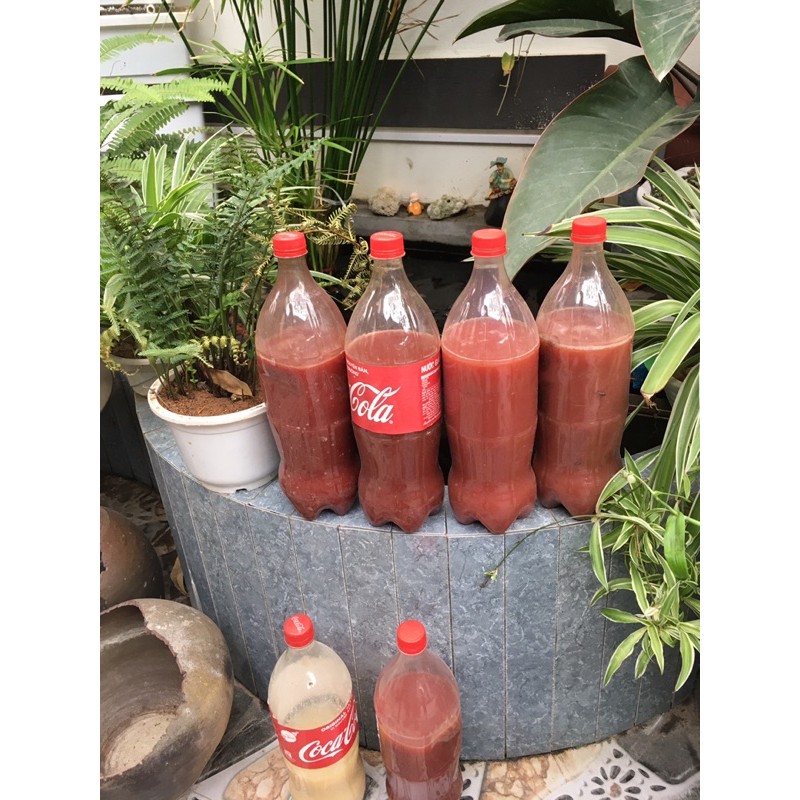 Vi sinh PSB làm trong nước bể cá thủy sinh 350ml