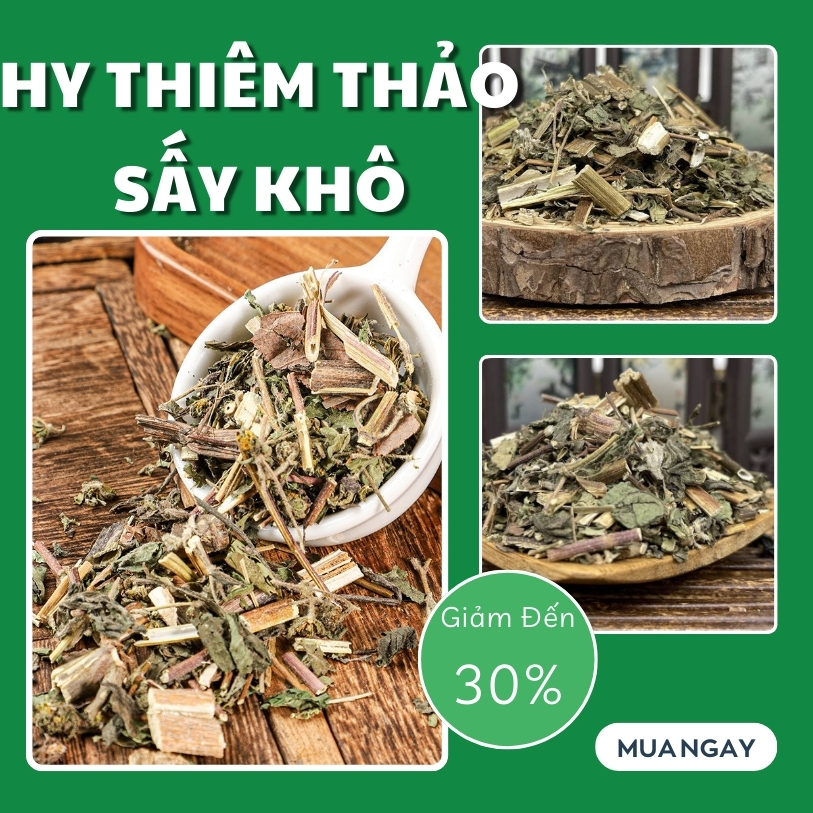 [Hàng mới về] Cây hy thiêm thảo (hy thiêm) 500g - Tấn Phát