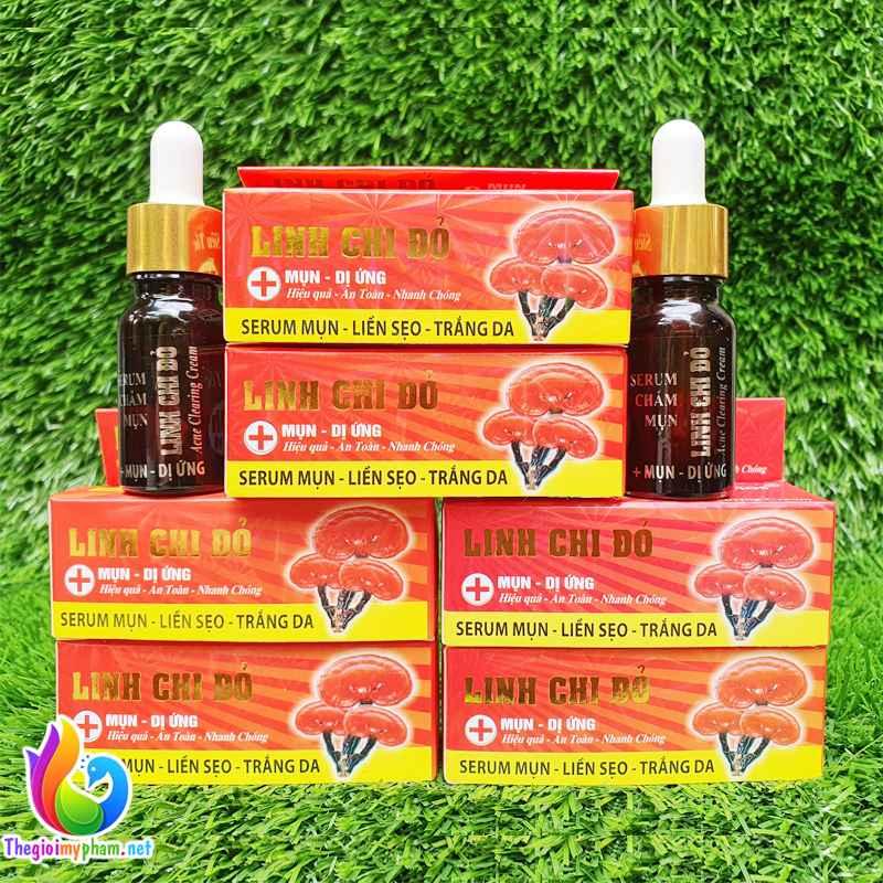 Serum Ngừa Mụn Thâm Trắng Da Linh Chi Đỏ 10ml