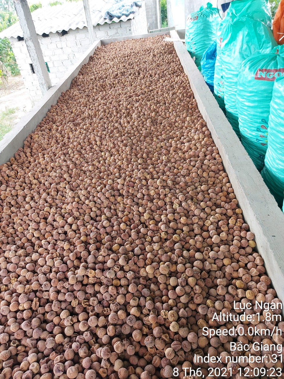 [Vải KHÔ Bắc Giang 1kg mới] Vải Thiều sấy khô nguyên quả