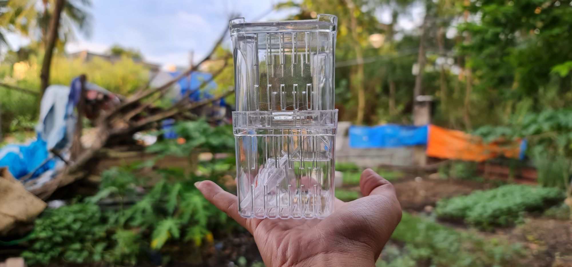 lồng đẻ size trung cho cá cảnh - lồng cách ly cá cảnh