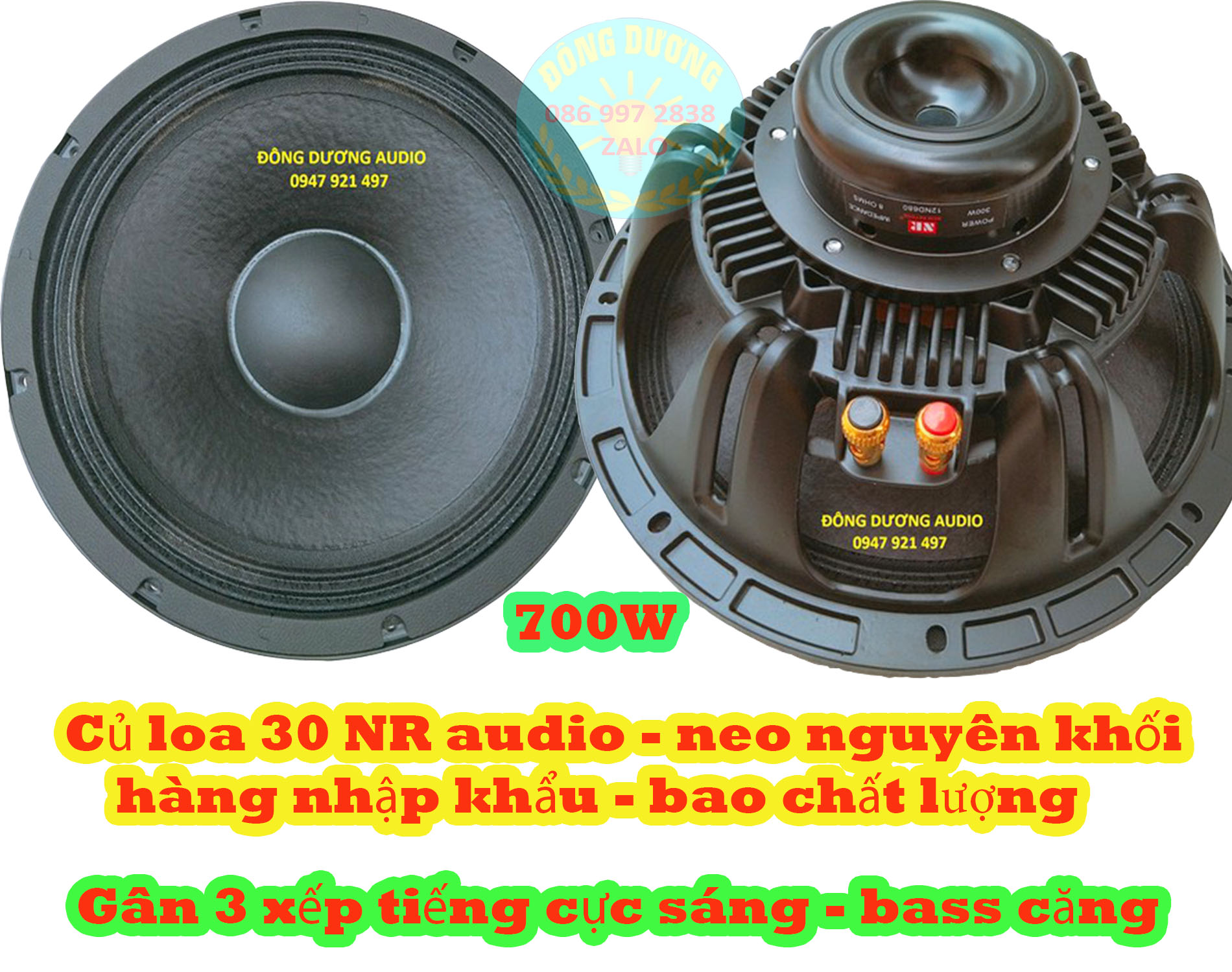 LOA BASS 30 NR XƯƠNG NHÔM -  TỪ NEO 100 CÔN 76 DÂY DẸT - GIÁ MỘT LOA