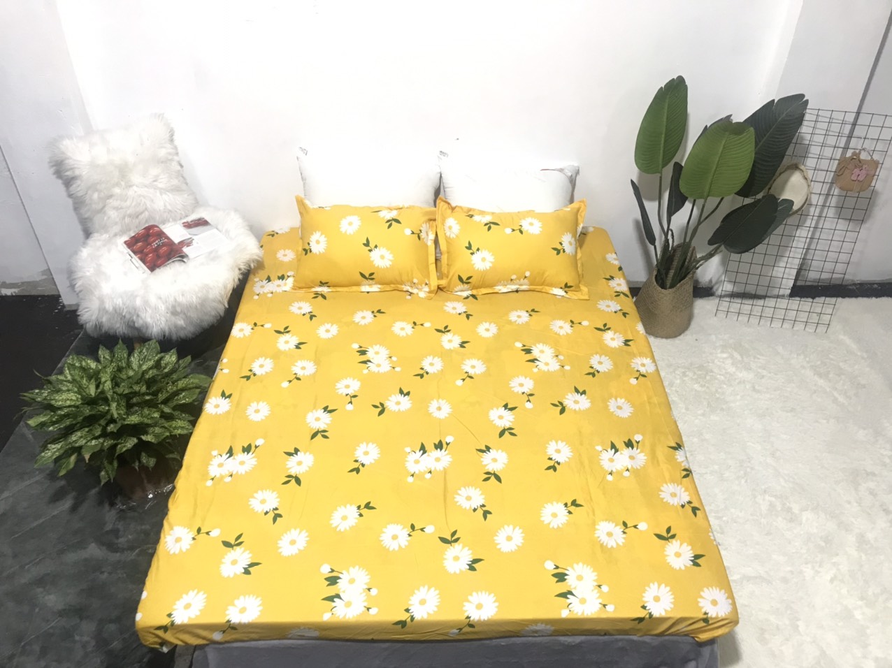 Bộ Ga Gối 3 Món ( Gồm 1 Ga Bo Chun + 2 Vỏ Gối) Mã CH213