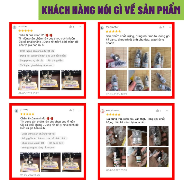 Thuốc Diệt Kiến - Diệt Gián Sinh Học ANBIO