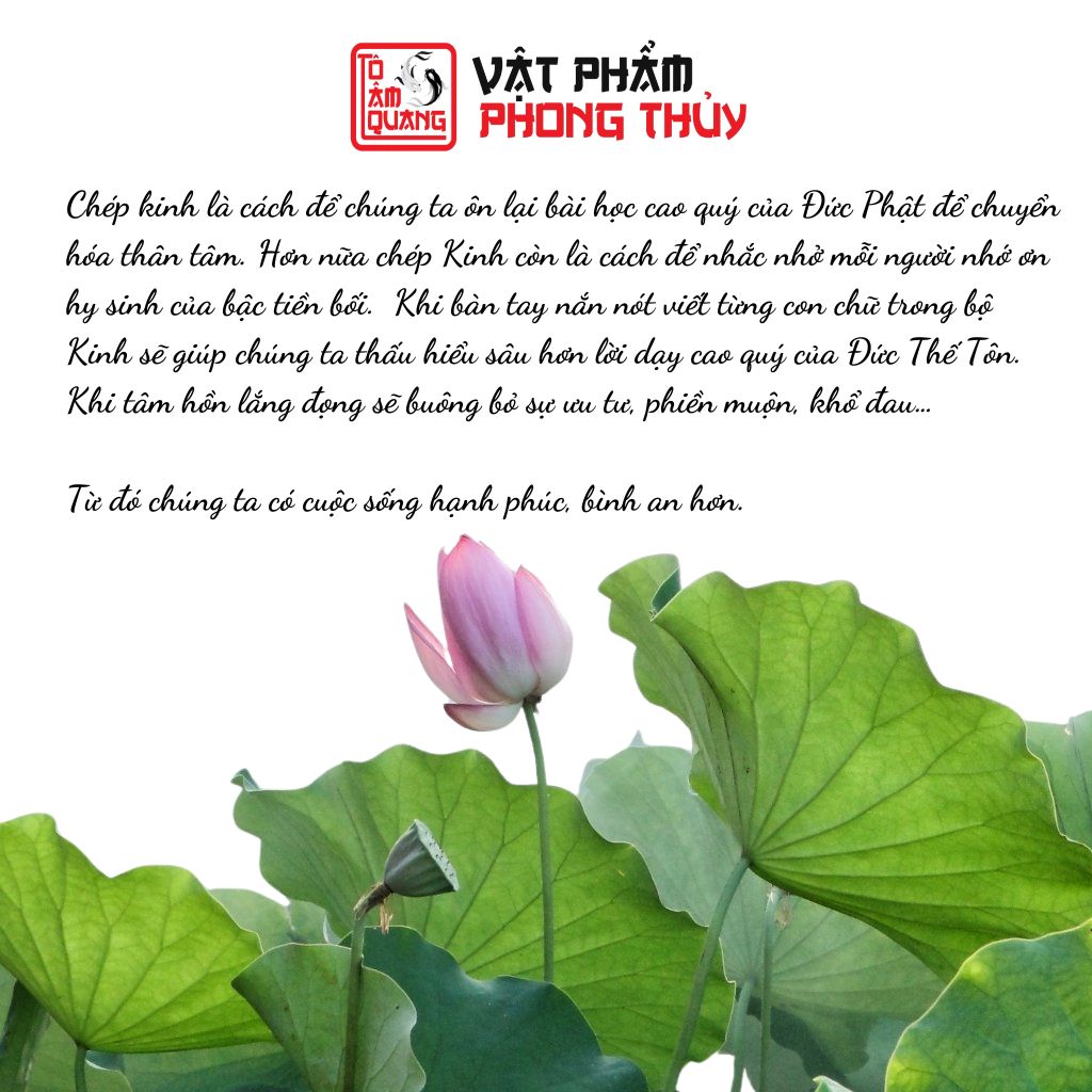 Sách - Sám Hối 35 Vị phật TÔ TÂM QUANG