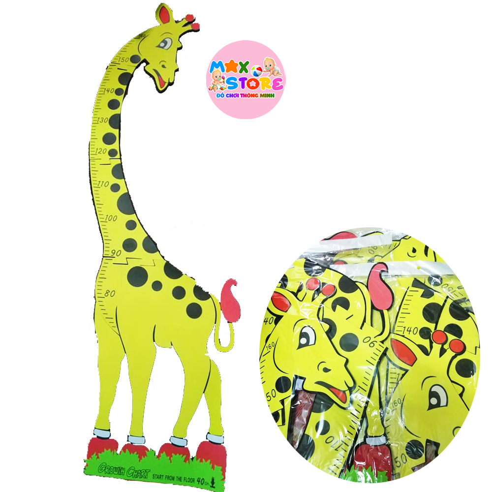Hươu xốp đo chiều cao