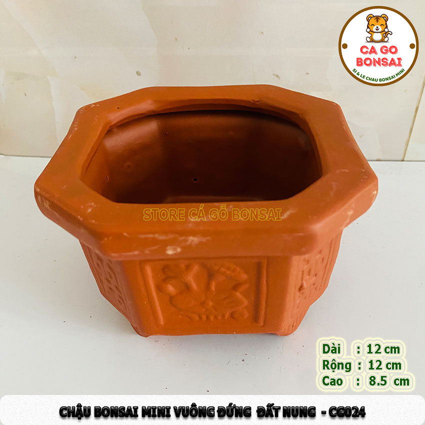 Chậu Mini Vuông Đứng Đất Nung - CG24