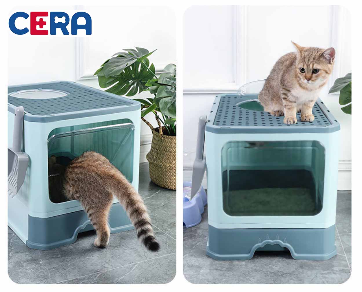 Nhà Cát Cao Cấp Cho Mèo - Khay Cát 007