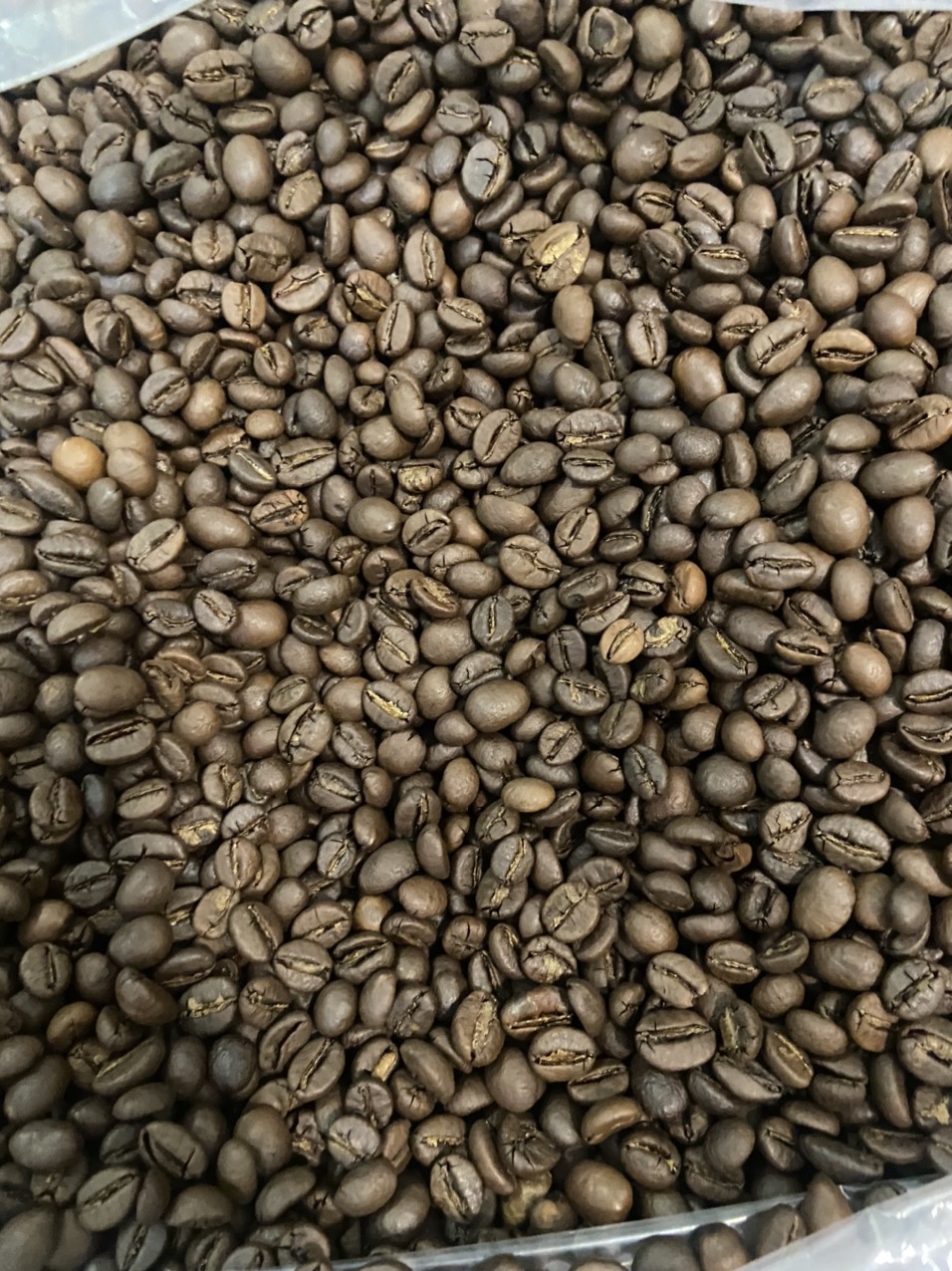 Cà phê Robusta Honey