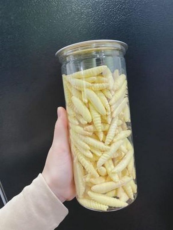 Bánh Sùng Sầu Riêng Lon Pet 300G