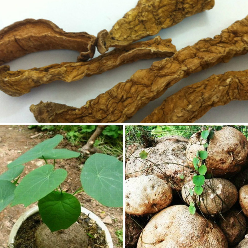 Củ bình vôi khô thái lát (1KG) - DB163
