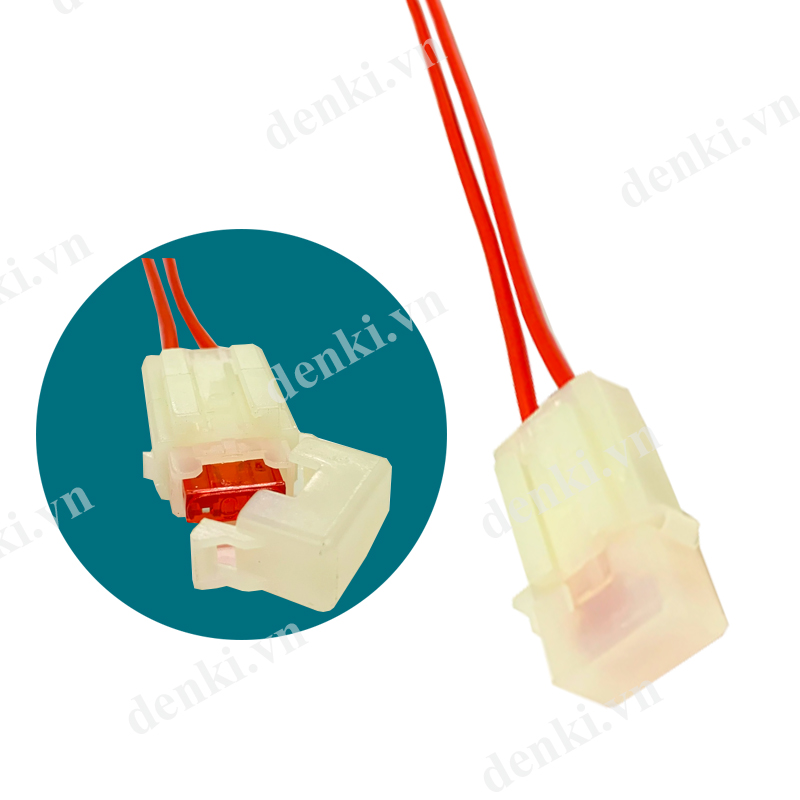 DENKI Hộp cầu chì Rs (Có cầu chì 10A)