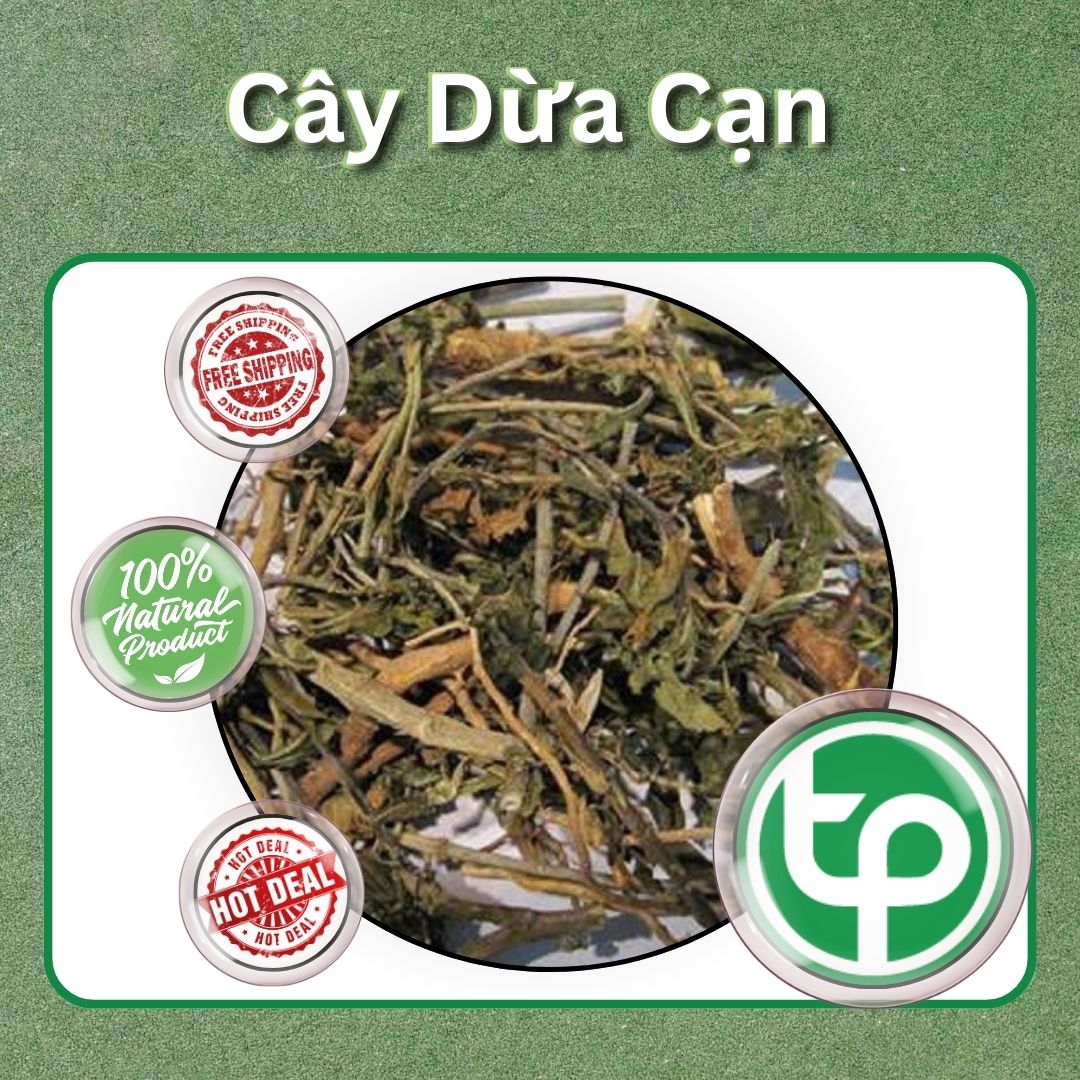[Túi Lớn Loại 1KG] Cây dừa cạn sấy khô - hàng công ty chất lượng cao - chuyên dùng để pha trà hỗ trợ cải thiện sức khỏe người sử dụng