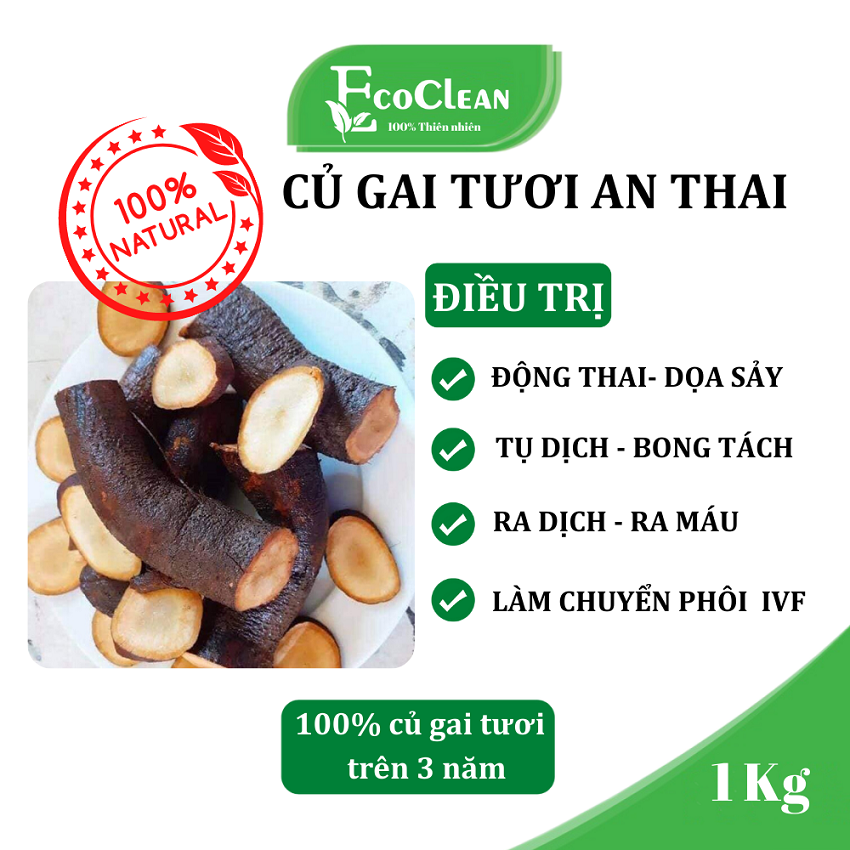 Củ gai tươi nguyên chất