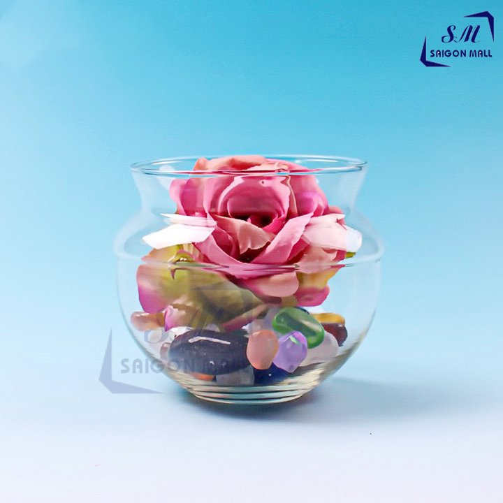 Chậu trồng cây thủy canh (TN), chậu thủy tinh trồng cây phát tài, cây hồng môn, cây phú quý, cây trầu bà - lọ thủy tinh trồng cây