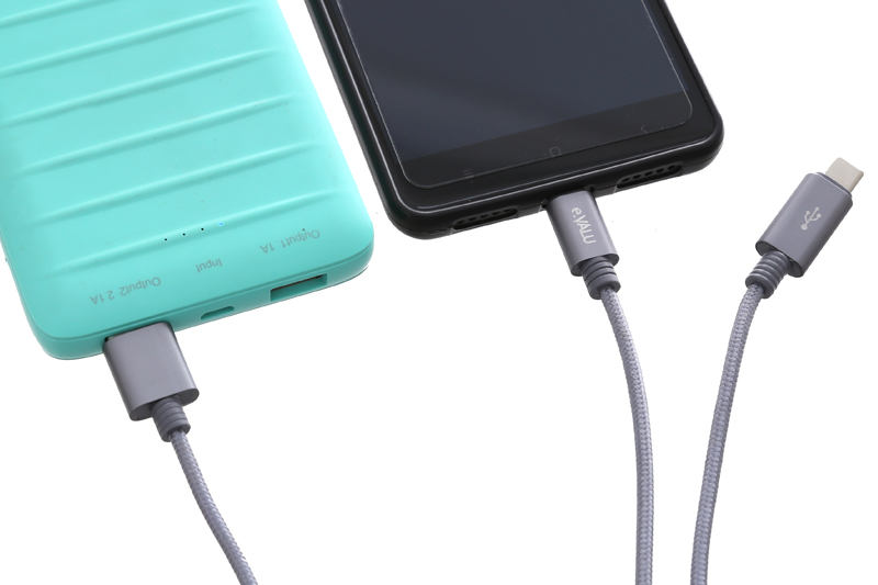 Cáp 2 đầu Type C Micro 1m enVHTr B Xám 1N