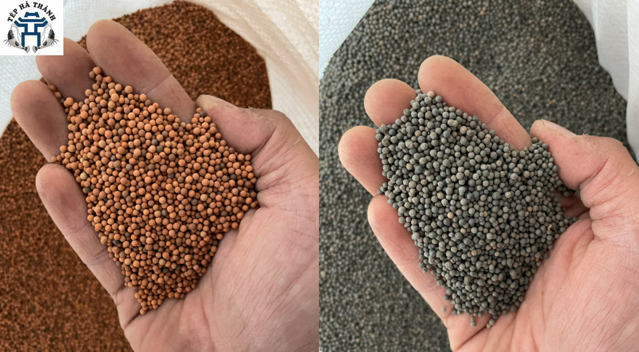 Hạt gốm nền đỏ và đen 100gr dùng trải nền bể cá cảnh, bể thủy sinh
