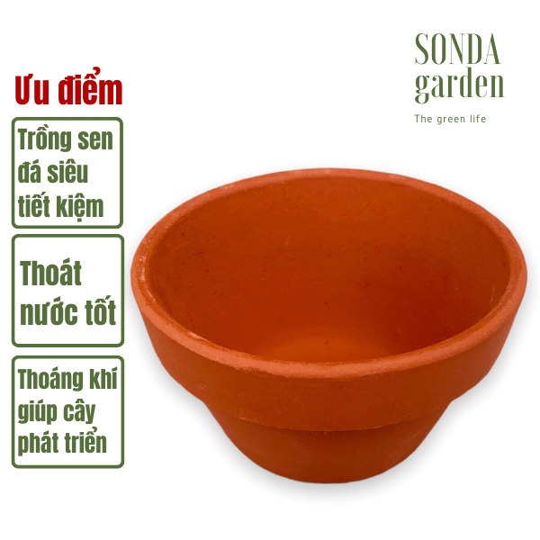 Chậu đất nung lùn nâu 8cm sonda garden, siêu đẹp, lỗi 1 đổi 1