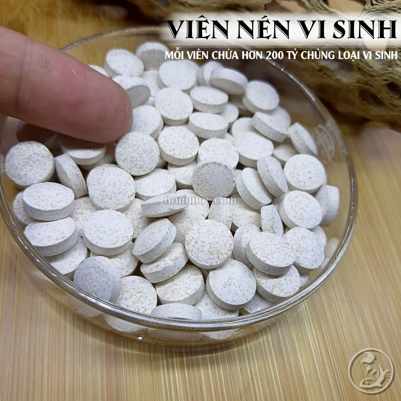 Men Vi Sinh Viên Cho Hồ Cá Cảnh, Hồ Thuỷ Sinh [có tác dụng lâu dài khi hệ lọc ổn định - ko có tác dụng làm trong nước ngay lập tức]