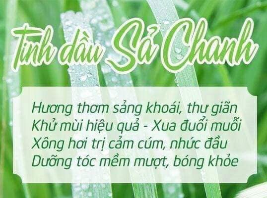 [HCM]Combo 2 dây treo tinh dầu sả chanh