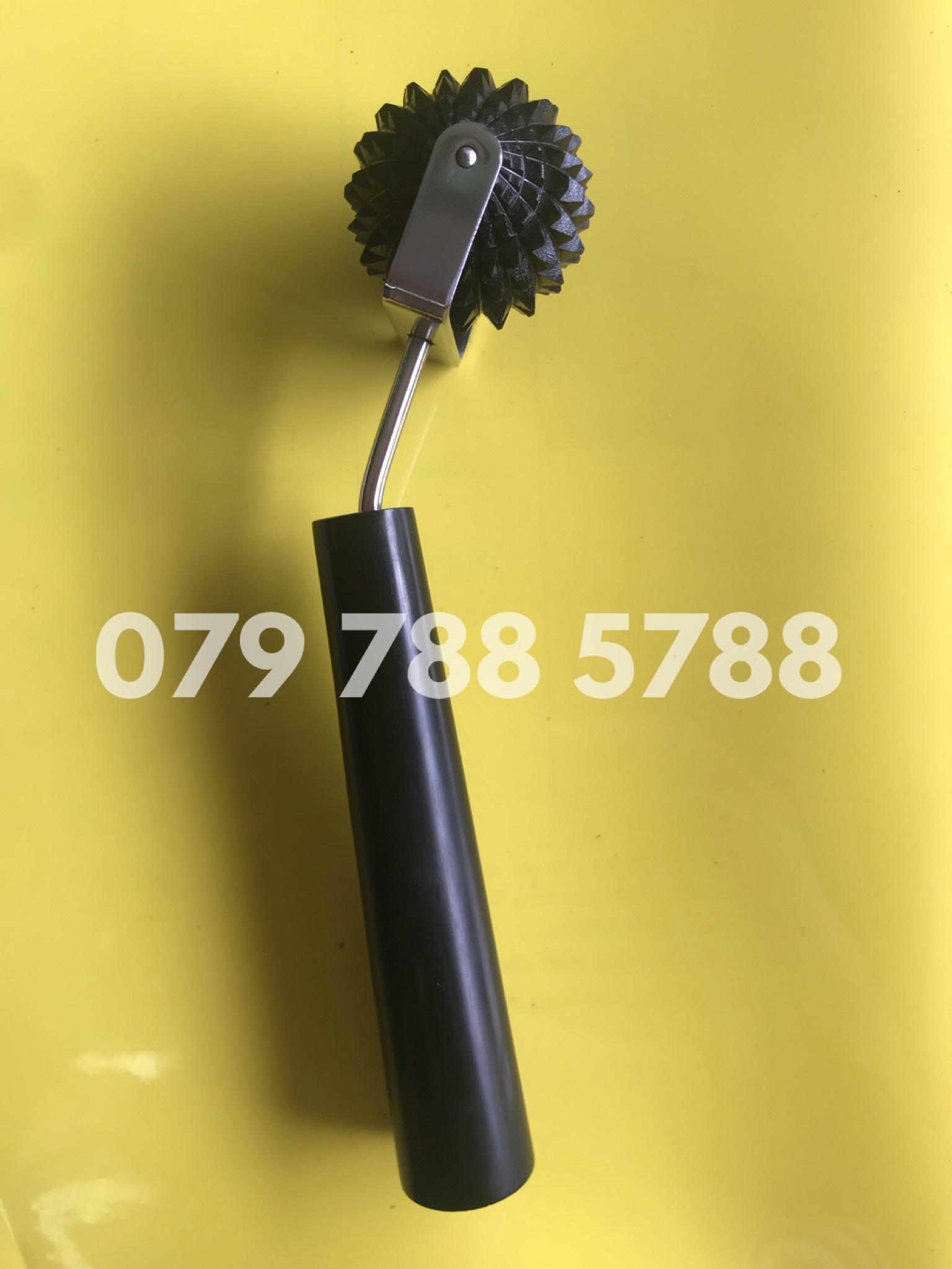 Lăn cầu gai đơn lớn diện chẩn