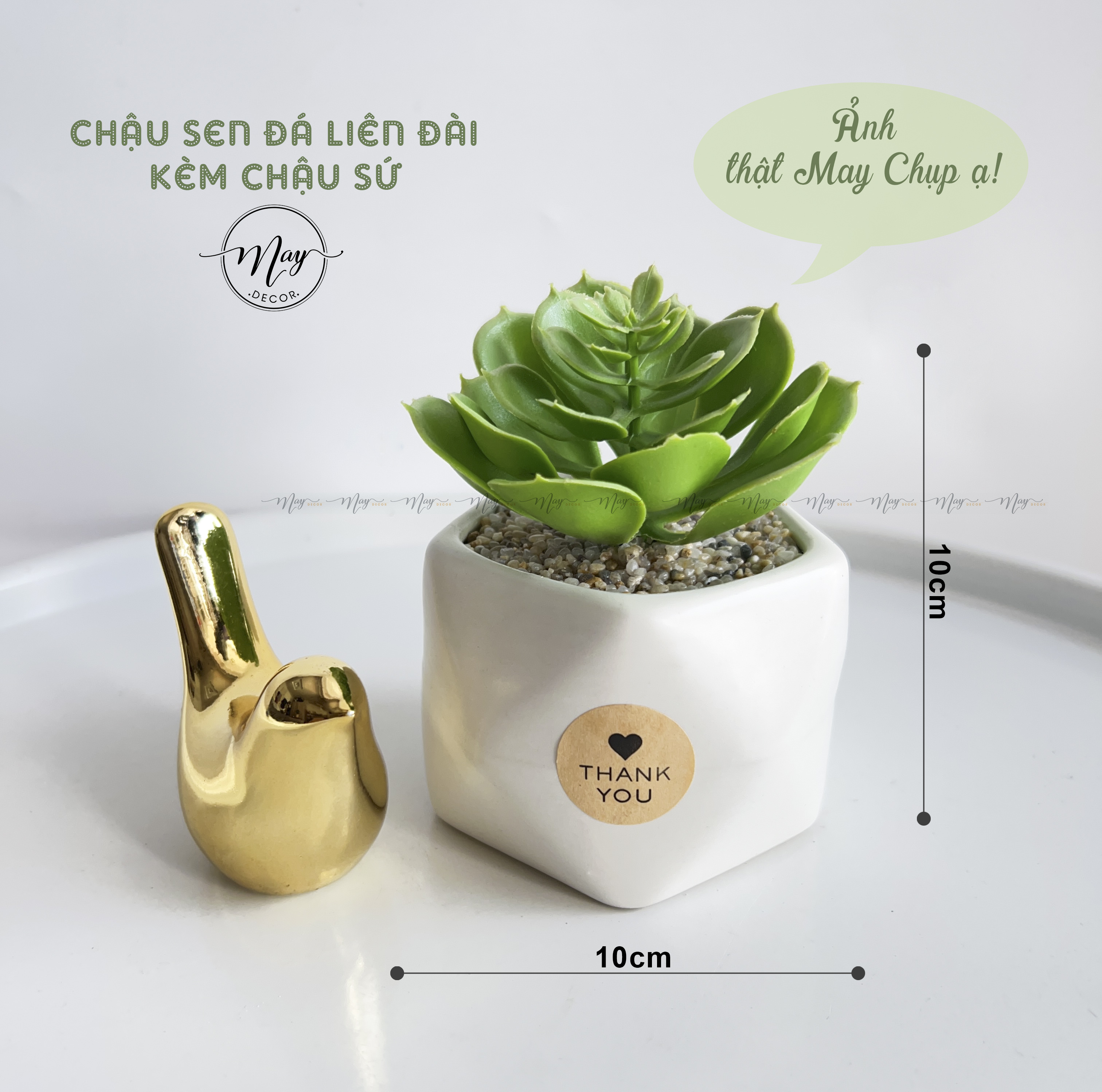 Chậu sen đá giả , lavender chậu gốm vân cát, quà tặng, chậu cây trang trí để bàn MayDecor